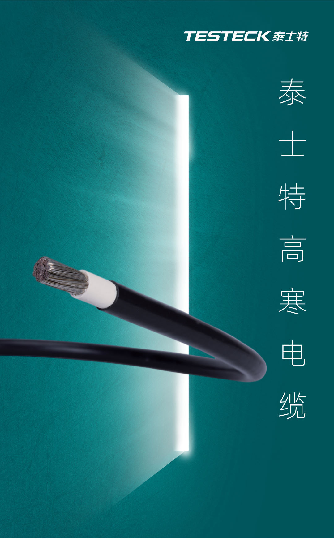 惊蛰节气主题海报__2025-07-16+16_16_35.png